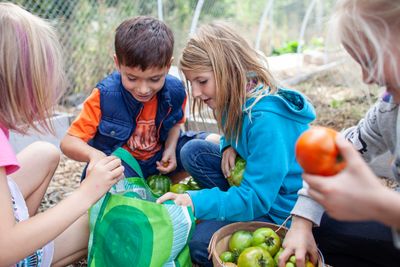 Children's School Garden