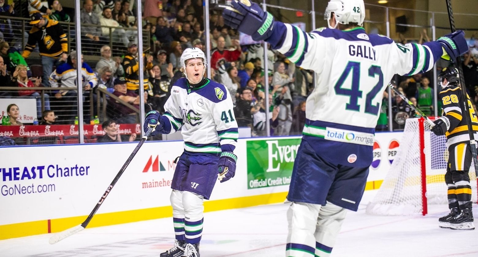 Maine Mariners Alumni Event