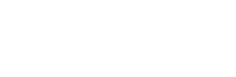 Digistorm USA logo