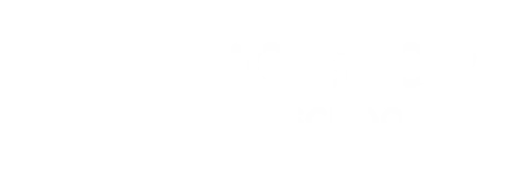 Digistorm USA logo