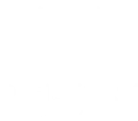 Digistorm USA logo