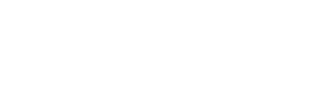 Digistorm USA logo