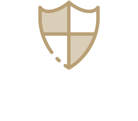 Digistorm USA logo