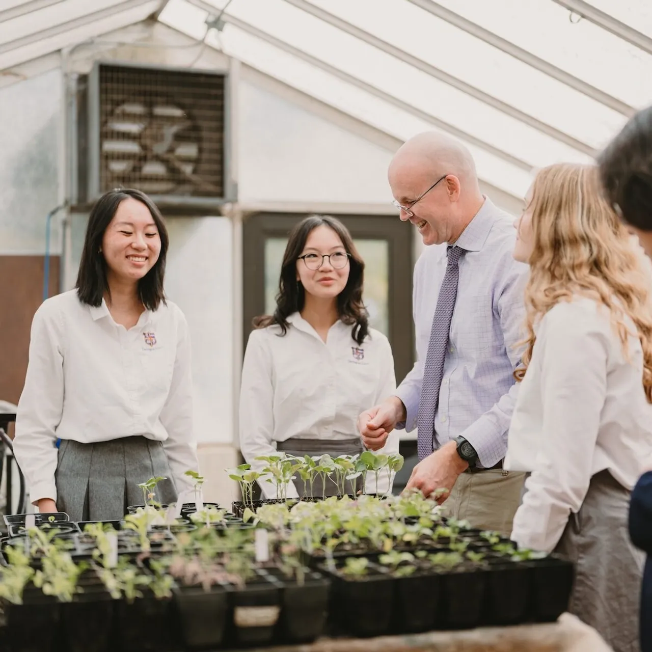 Male teacher works with a group of students in the greenhouse where they are growing plants