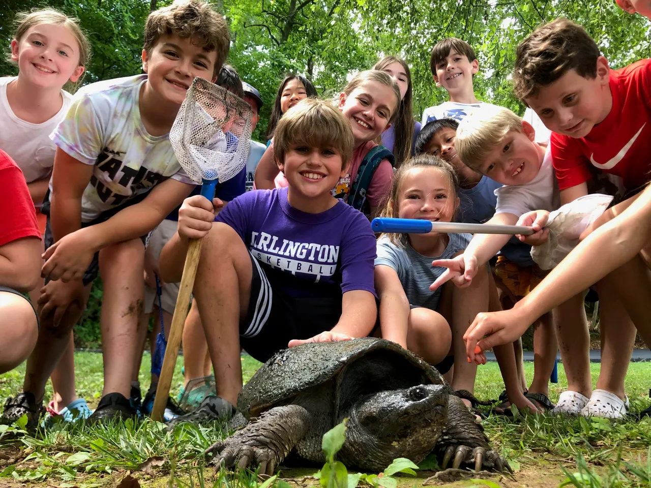 Students gather around a large snapping turtle during Darlington School's Nature Nuts camp.