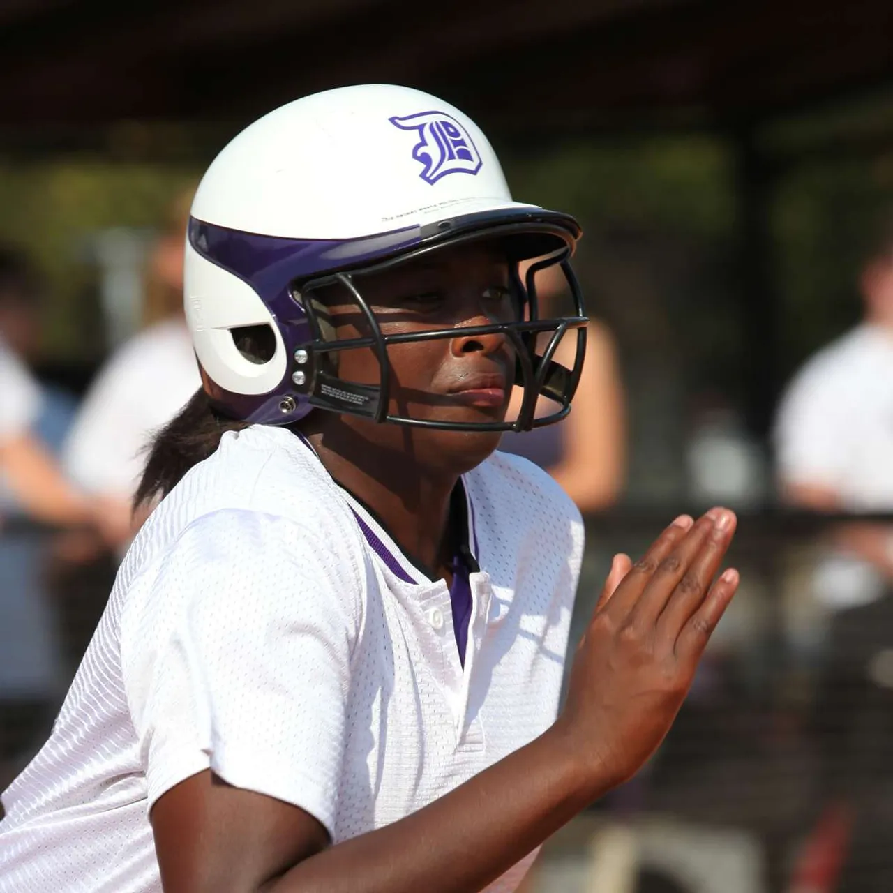 Darlington Varsity Softball 2011