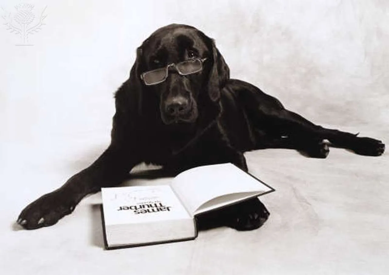 A dog reads a James Thurber book. James Thurber was a cartoonist for The New Yorker magazine; many of his cartoons involved dogs.