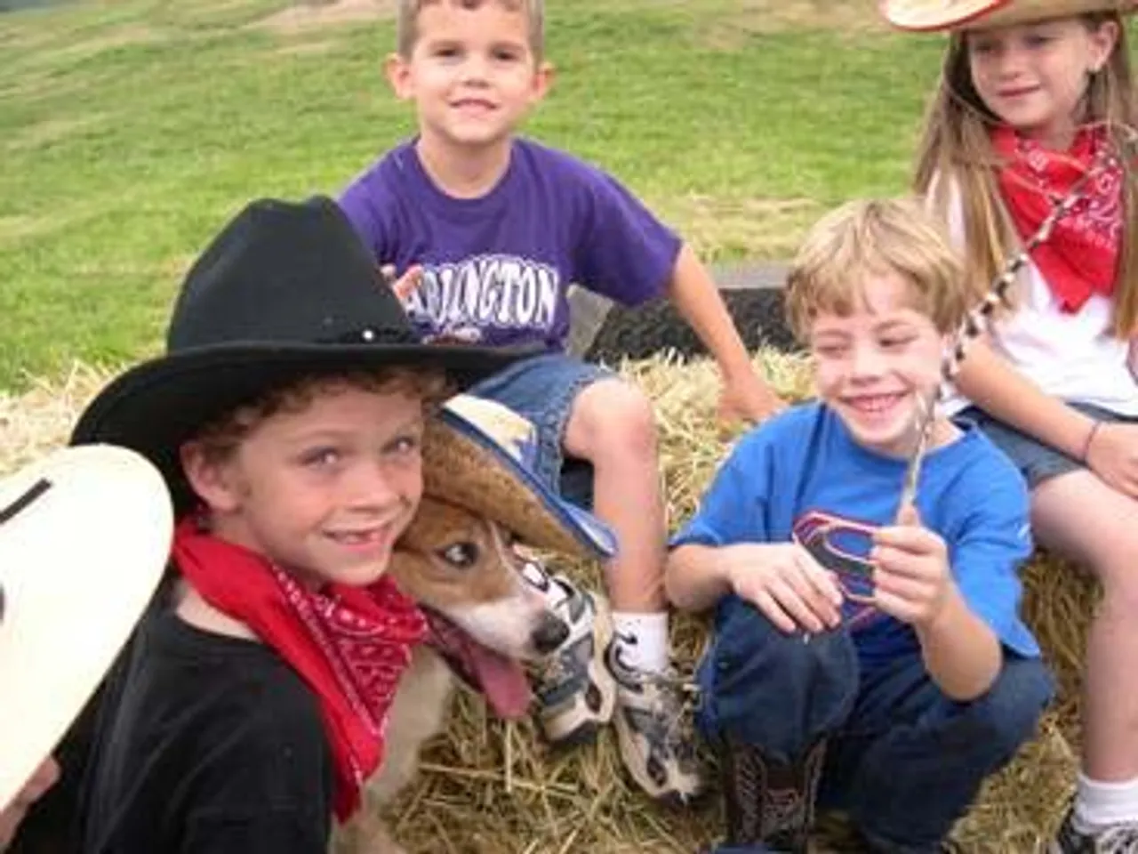 Students hang around the farm after the pizza picnic provided by the Frix family.