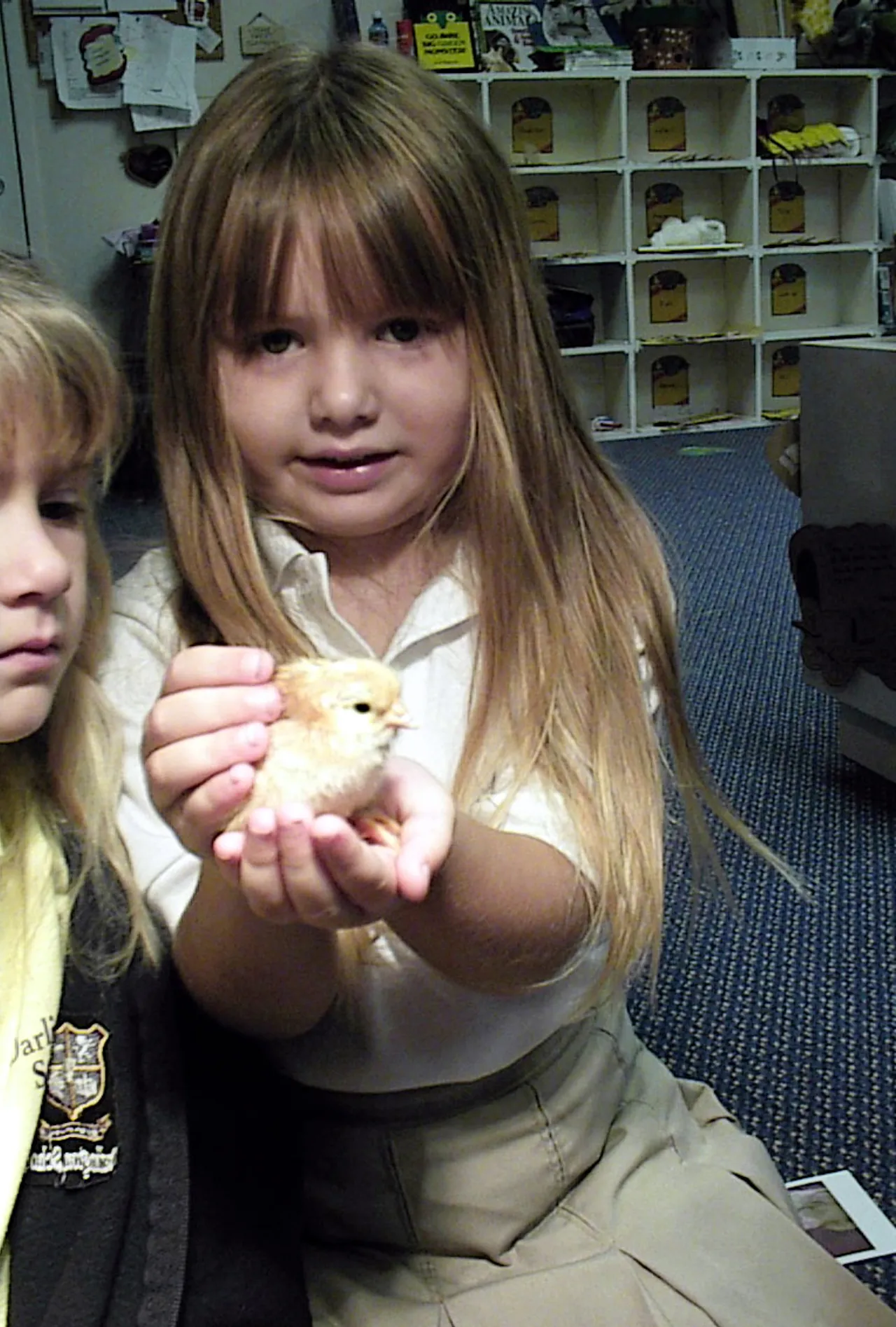 Pre-kindergartener Emmy Hall holds the first chick to hatch in the classroom during "C" week.