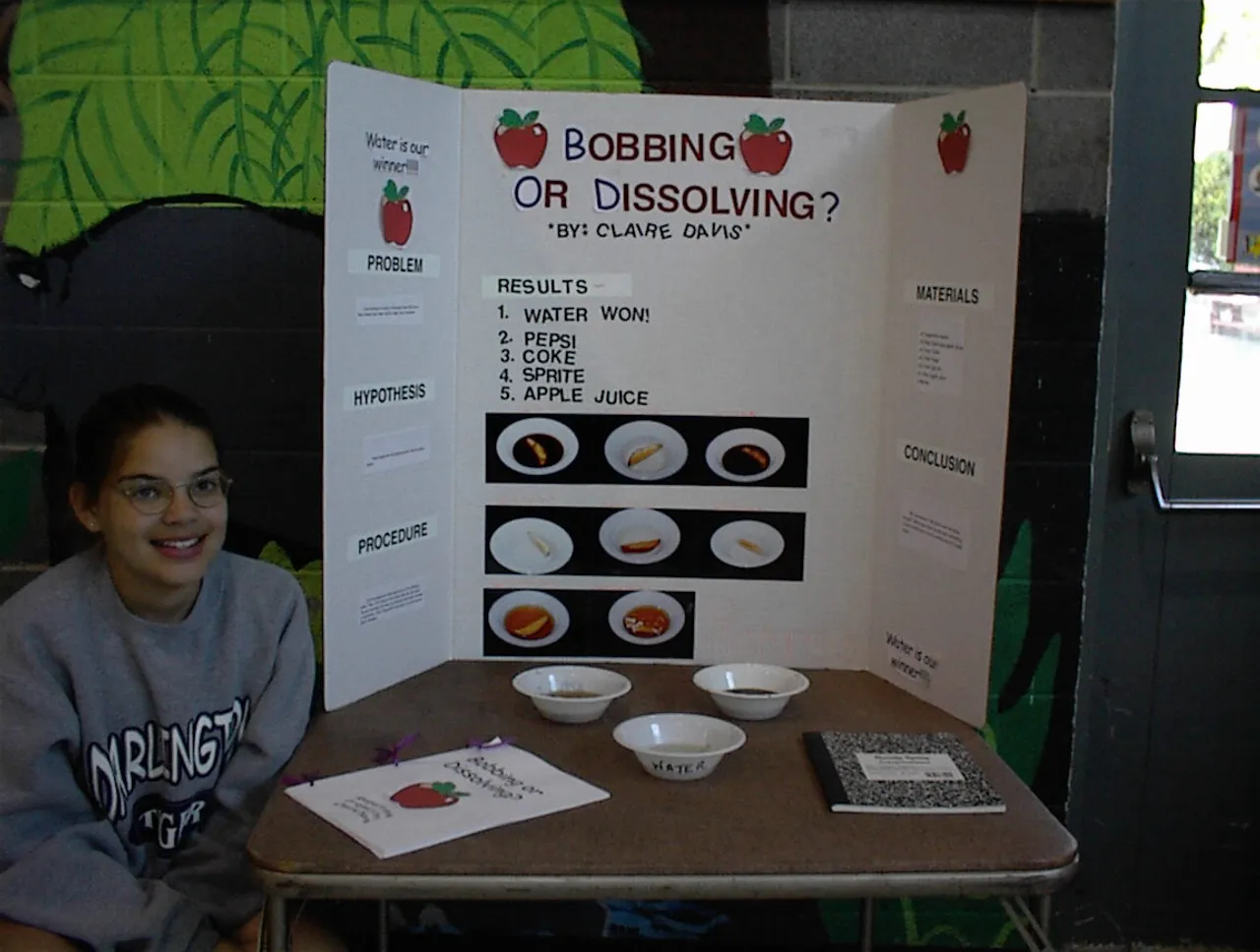 Annual fifth grade science fair project