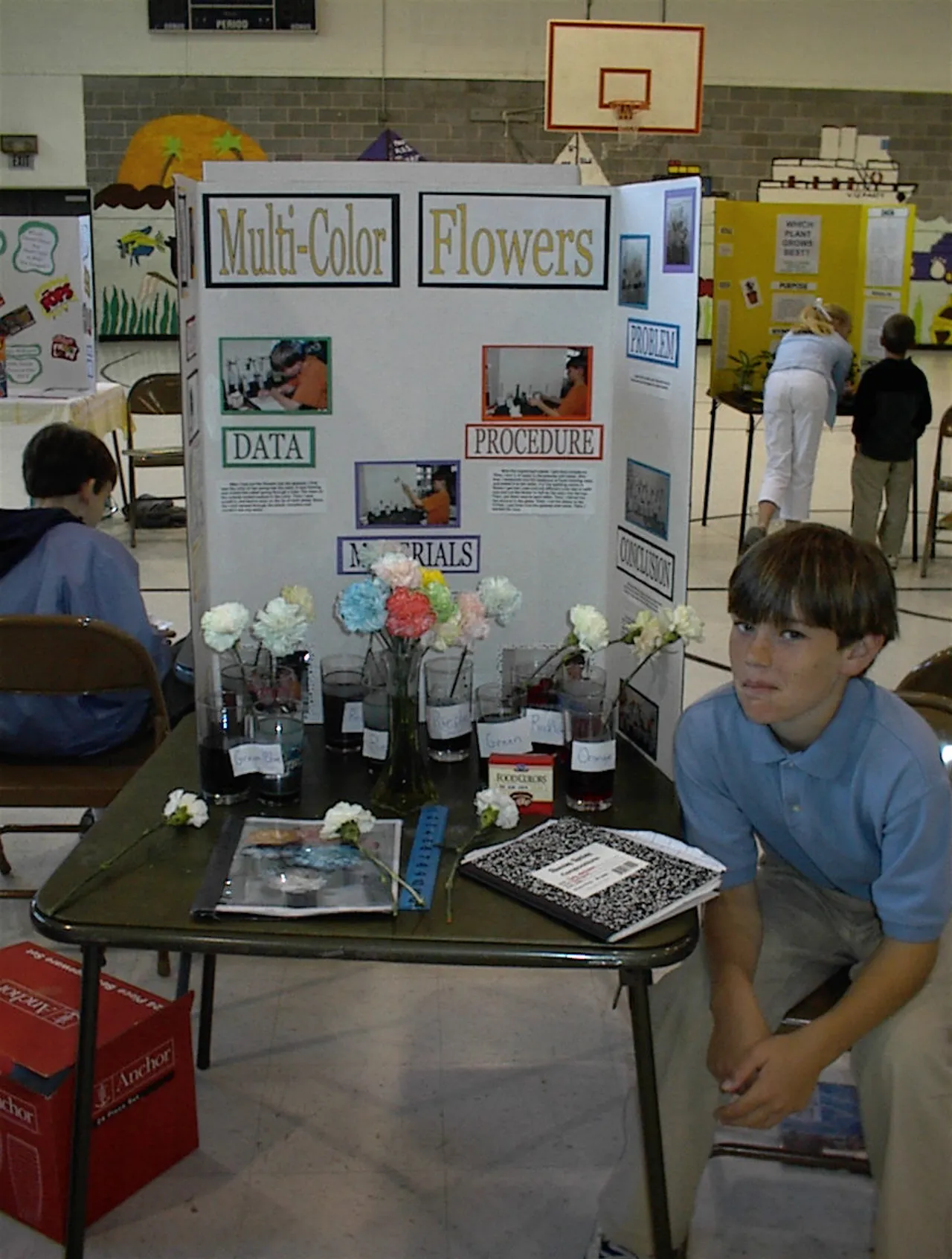 Annual fifth grade science fair project