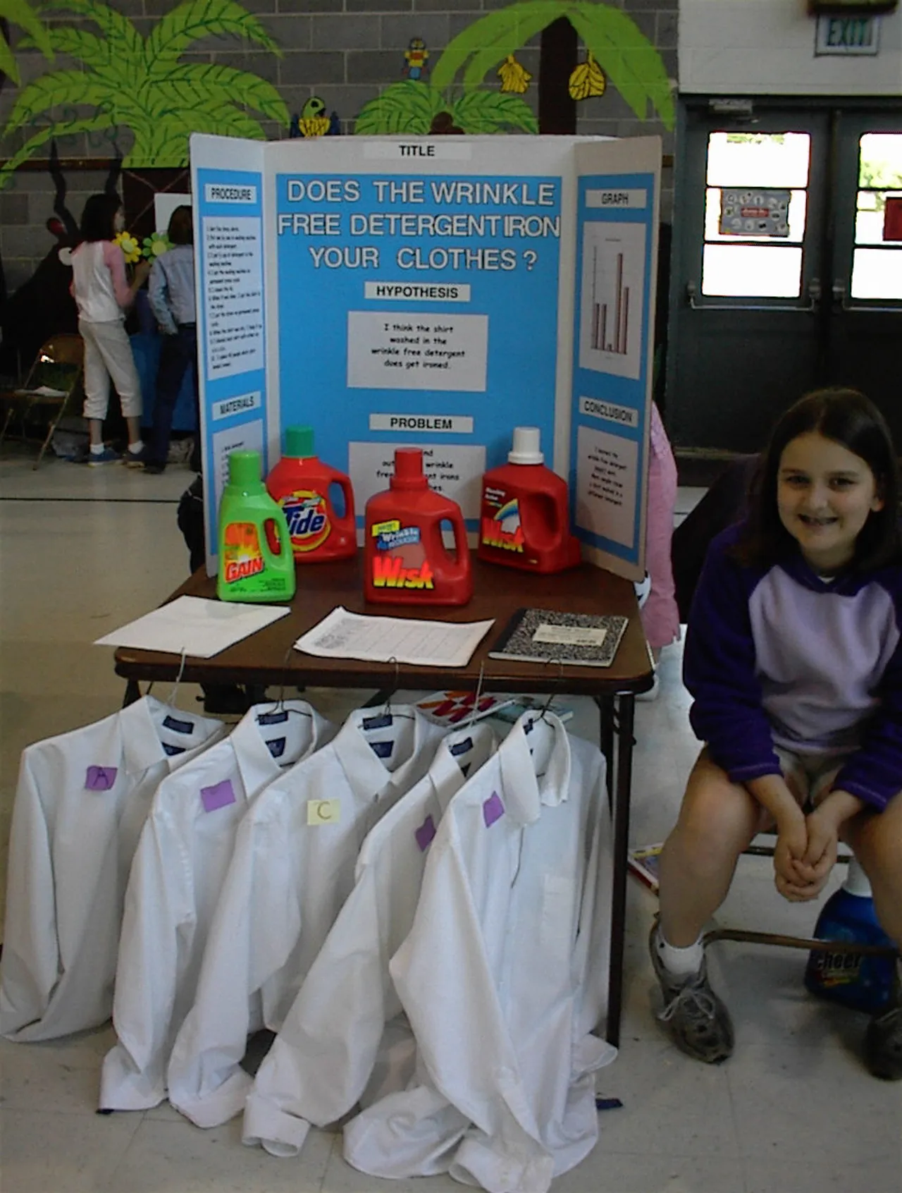Annual fifth grade science fair project