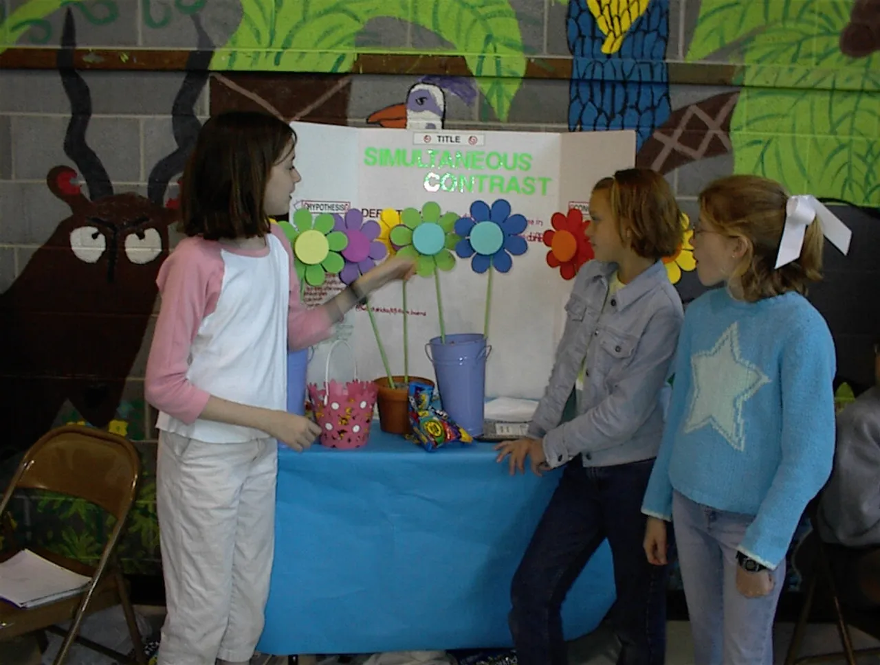 Annual fifth grade science fair project