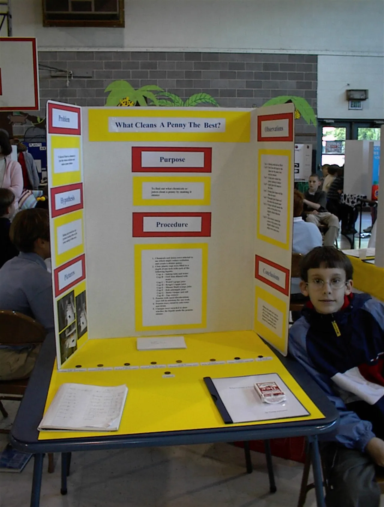 Annual fifth grade science fair project