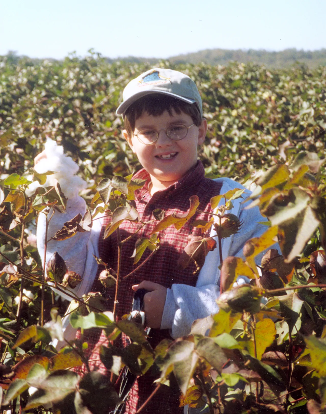 Students learn about cotton and its uses.