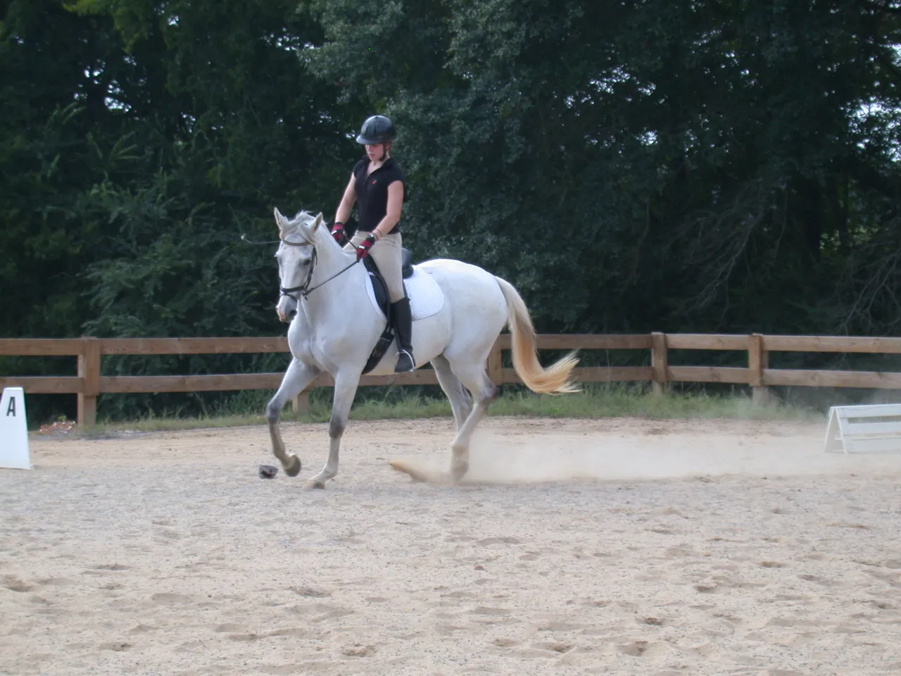Junior Carly Crispell rides "Sam," a horse belonging to instructor Nathalie Bouckaert.