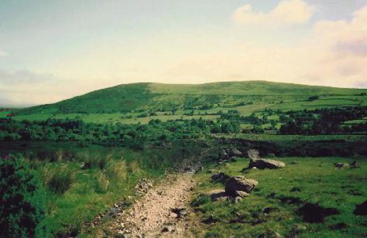 The path to Carrantuohill, Ireland's tallest mountain.