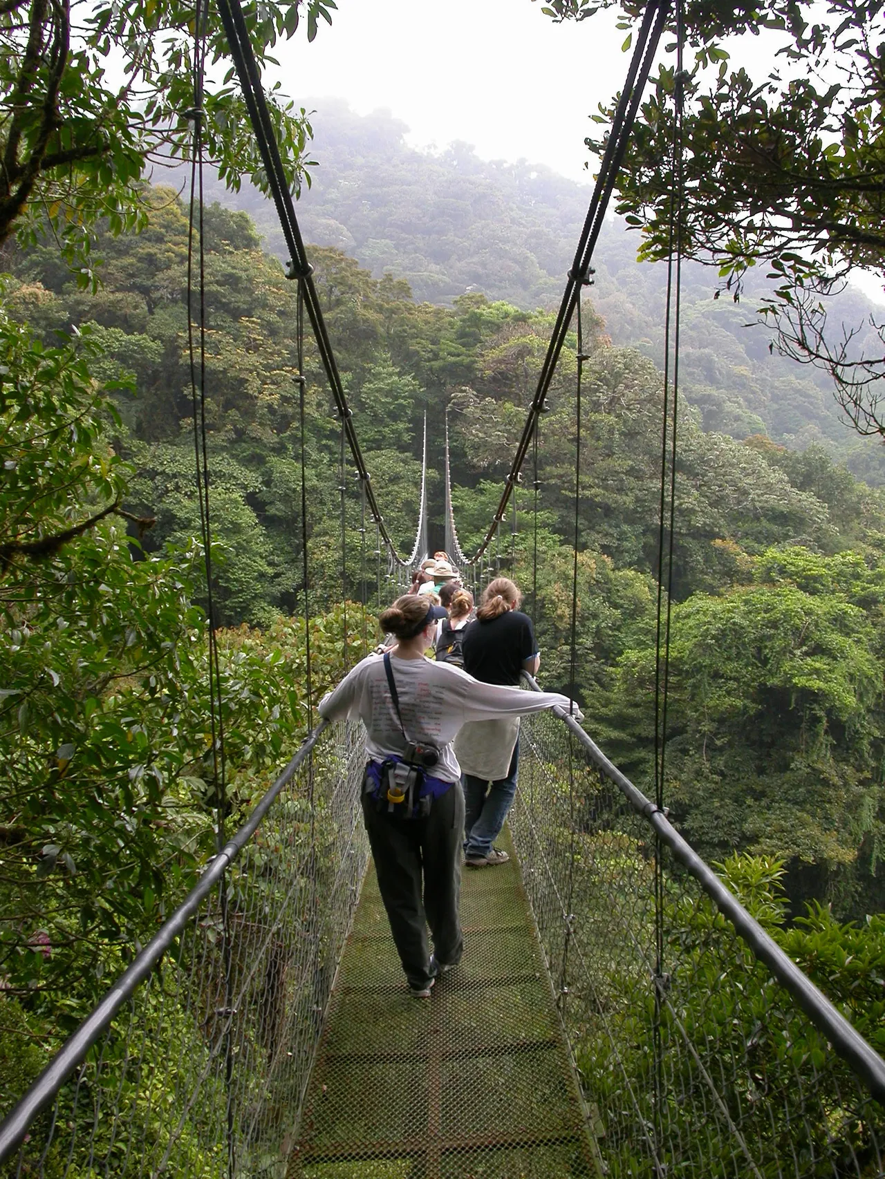 Head of House Blythe Erlandson and others cross a suspended bridge in the Trimbina Biological Reserve on the 2003 Costa Rica trip.