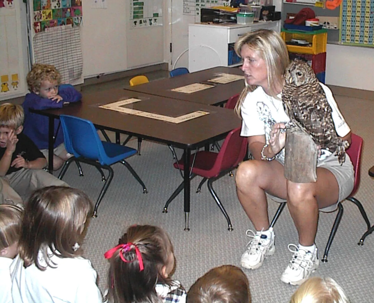 Students learned about owls during their study of the letter O.