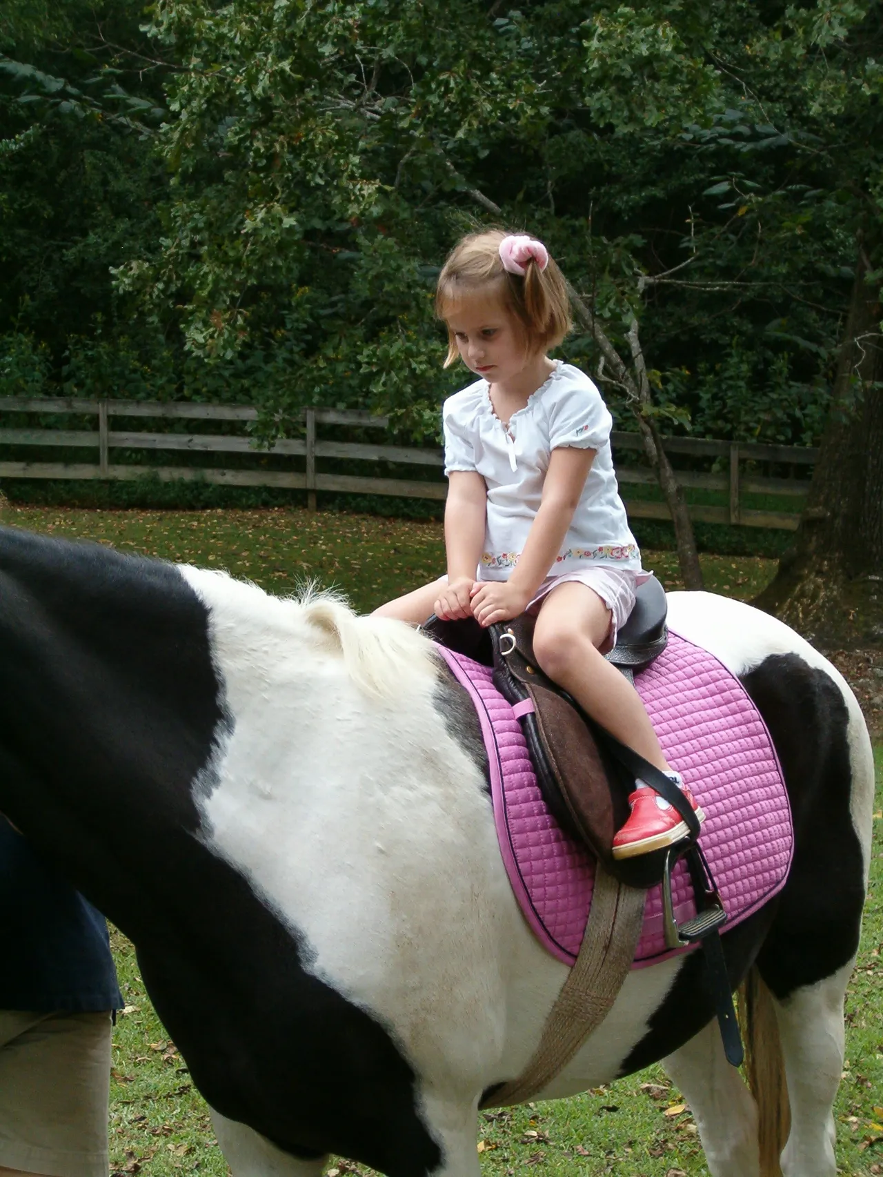 Emily Taylor trots around J.L. Todd farm in Kingston.