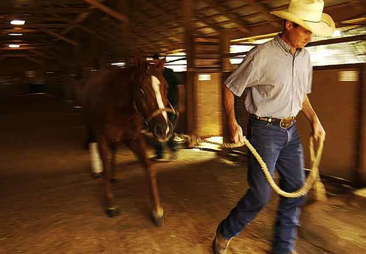 "Handler" was taken by Paul O'Mara in 2003 to accompany an article about Berry College's pre-vet program.