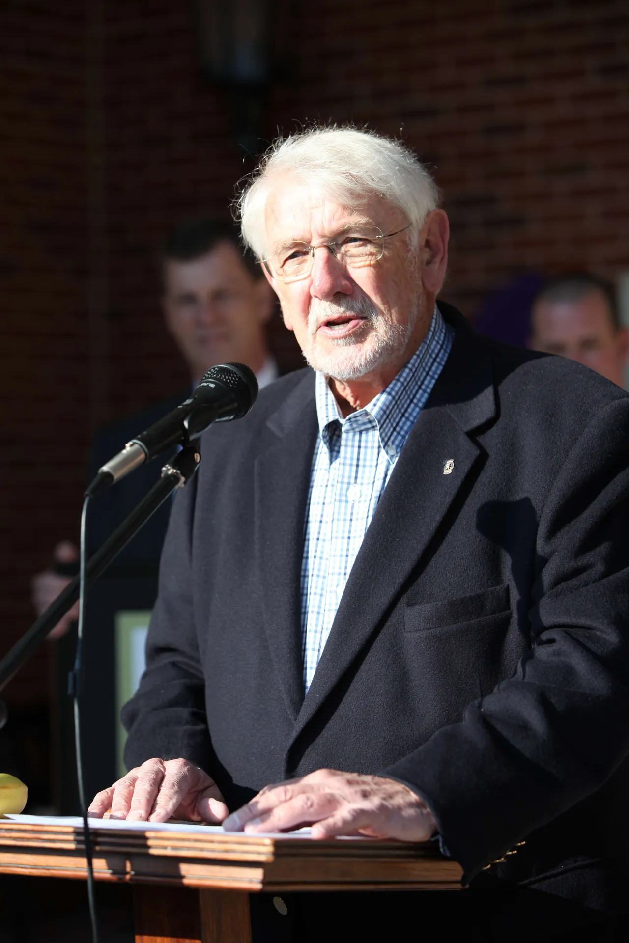 Paul Ferguson speaks on behalf of the South Rome Redevelopment Agency and Corporation.