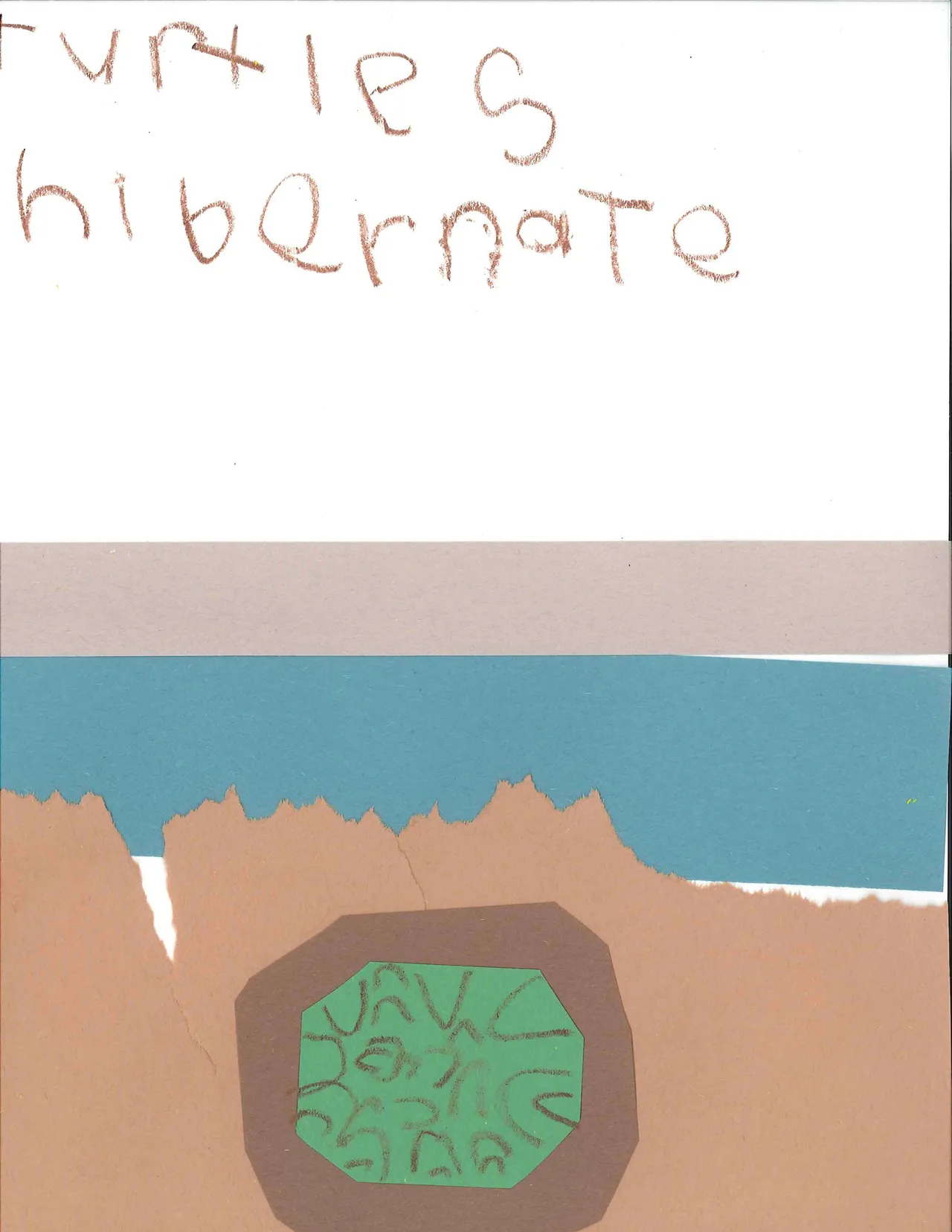 By Lily Ivester