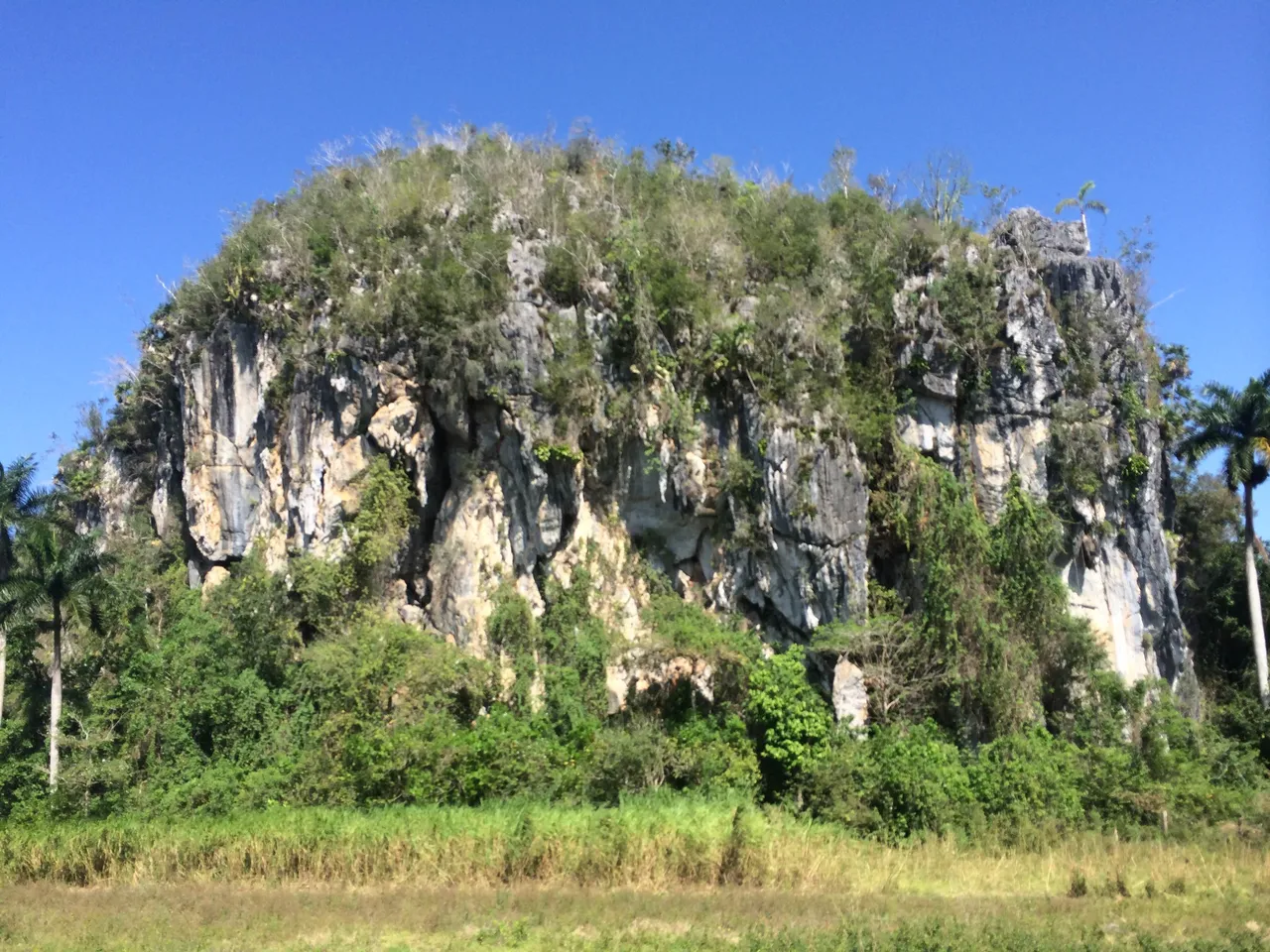 The Mogotés (rock formations) from Viñales