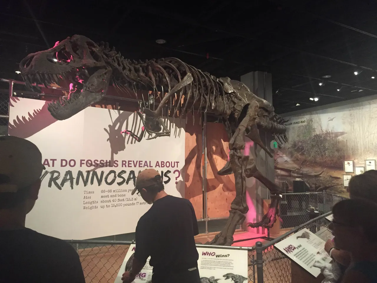This is a T-Rex skeleton at the Museum of Natural History. Sadly, it wouldn’t play fetch like the one in the Night at the Museum.