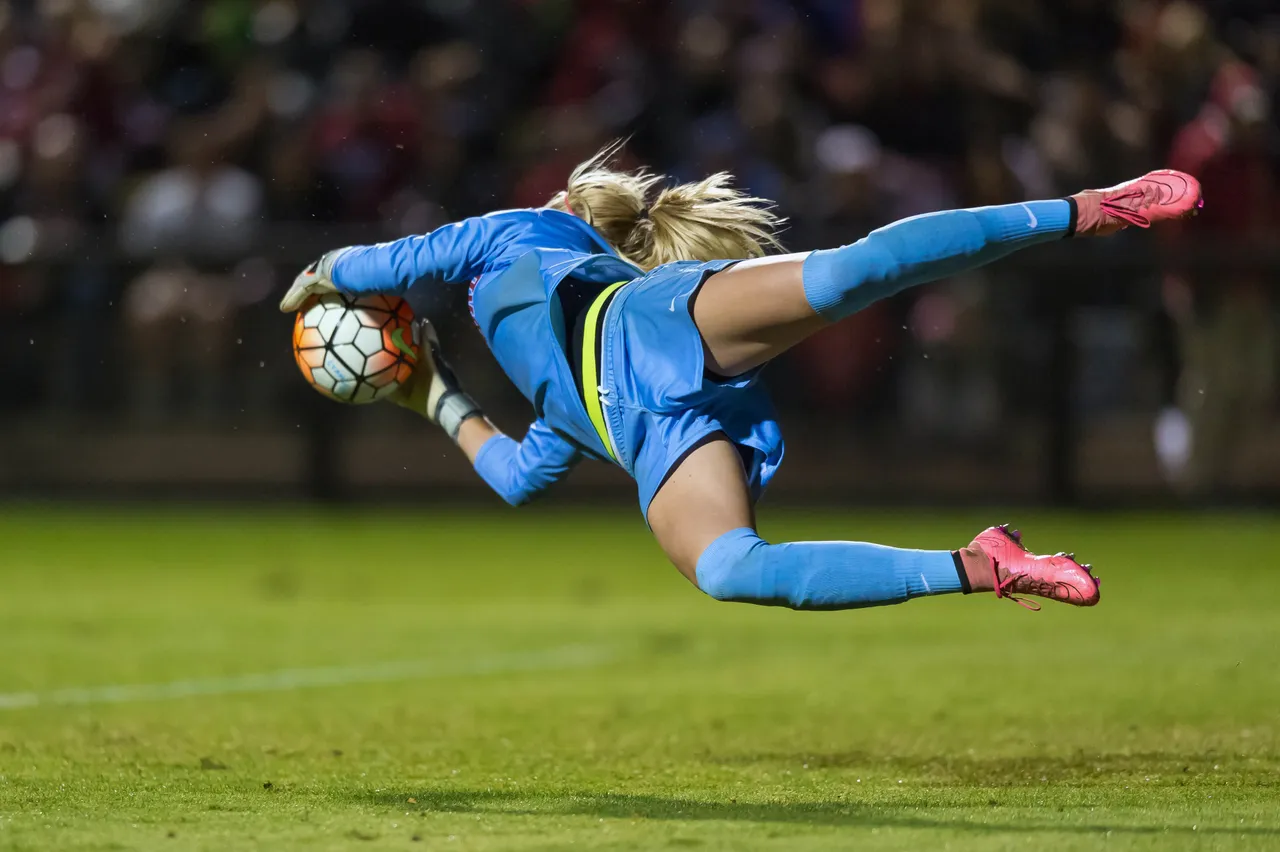 Credit: Jim Shorin/StanfordPhoto.com