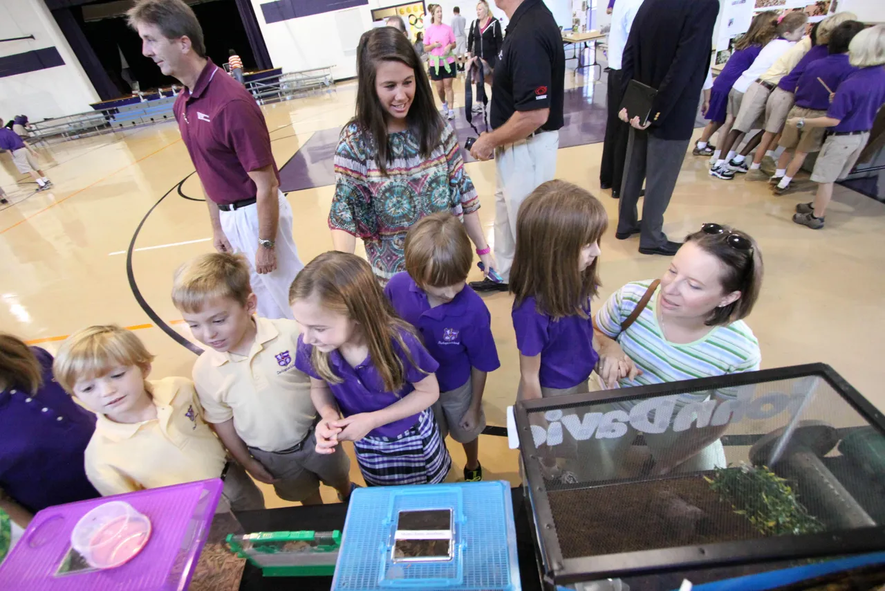 First-graders visit the annual Insect Expo.