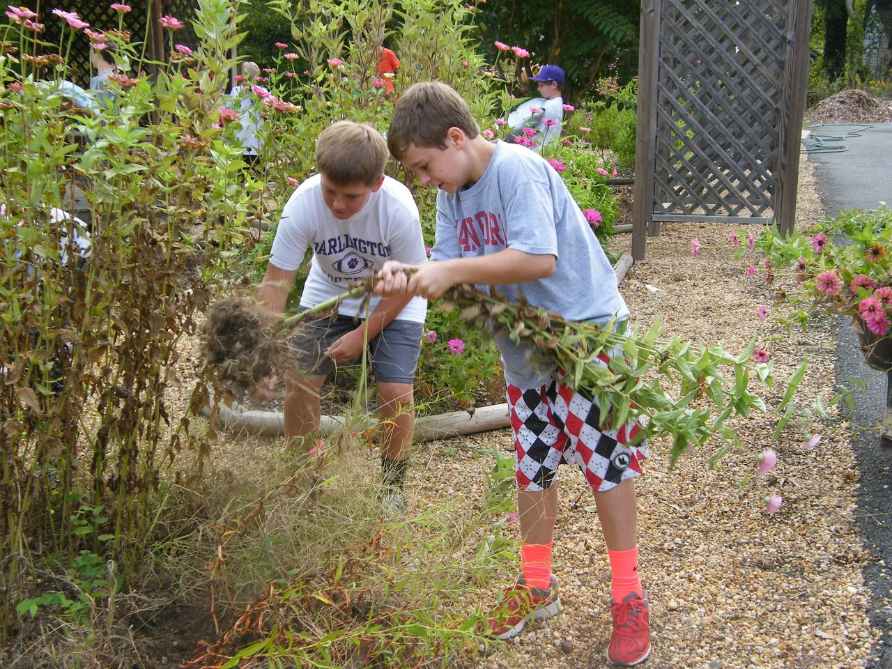Middle School students work in the gardens of the Boys & Girls Club on International Dot Day last September.