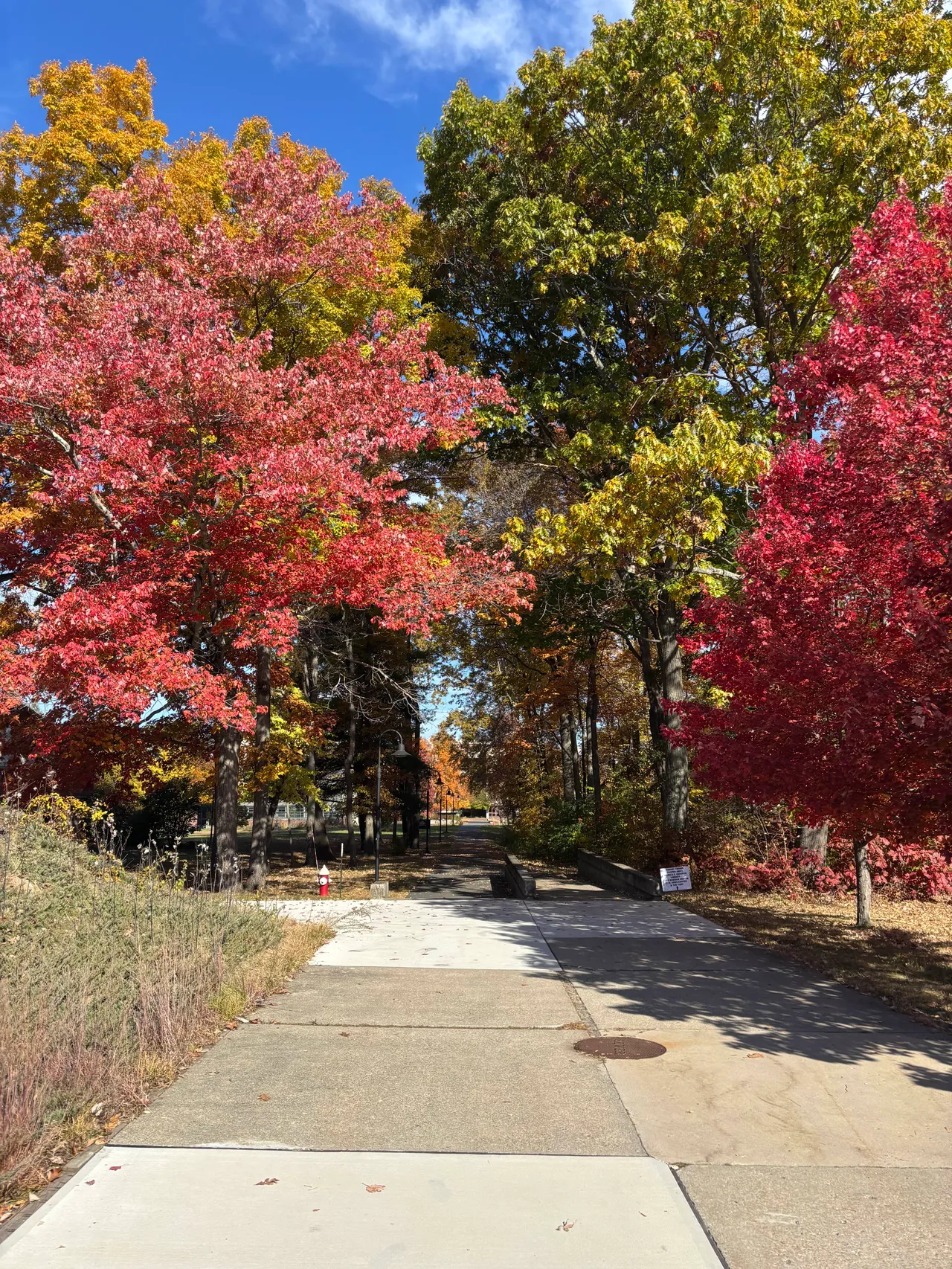 Hampshire College Walkway