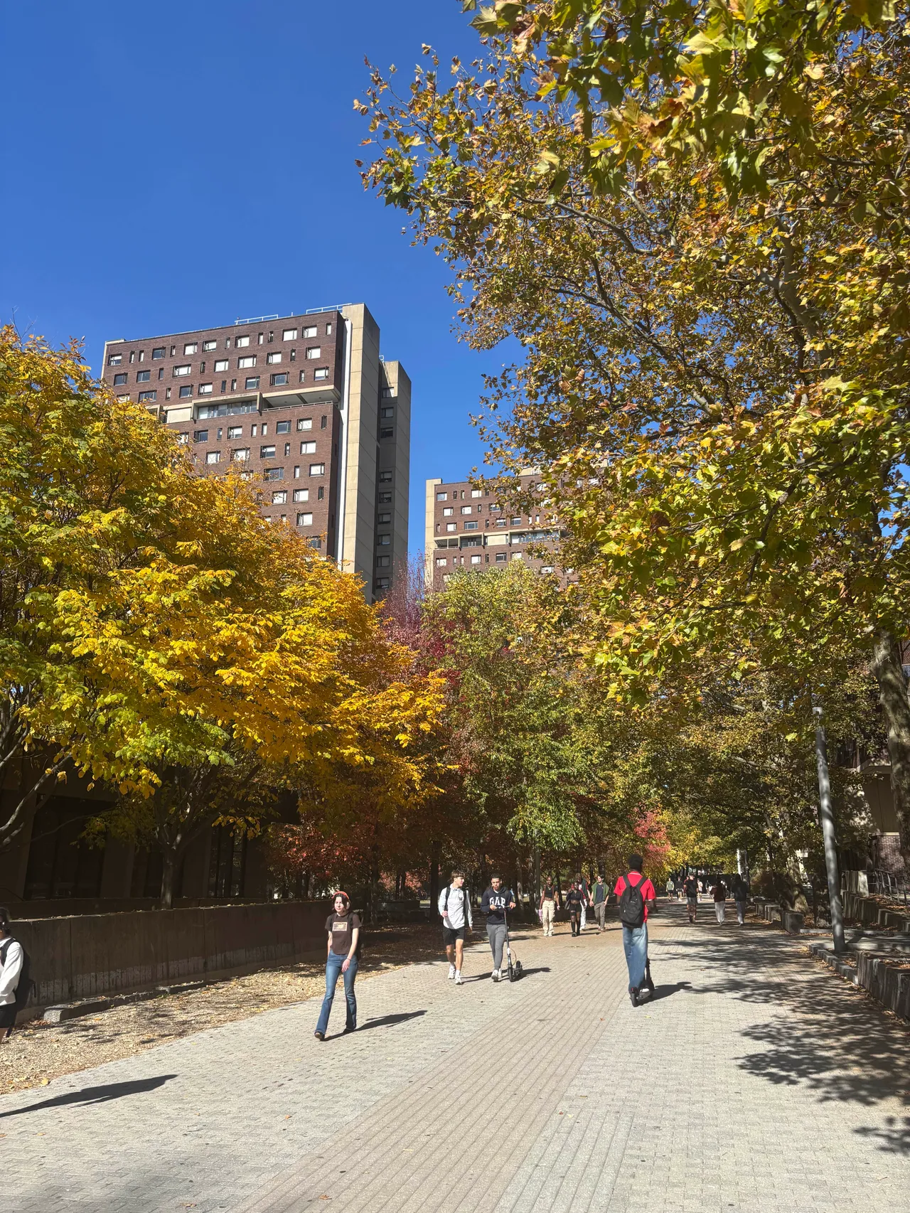 UMass Amherst - Main walkway