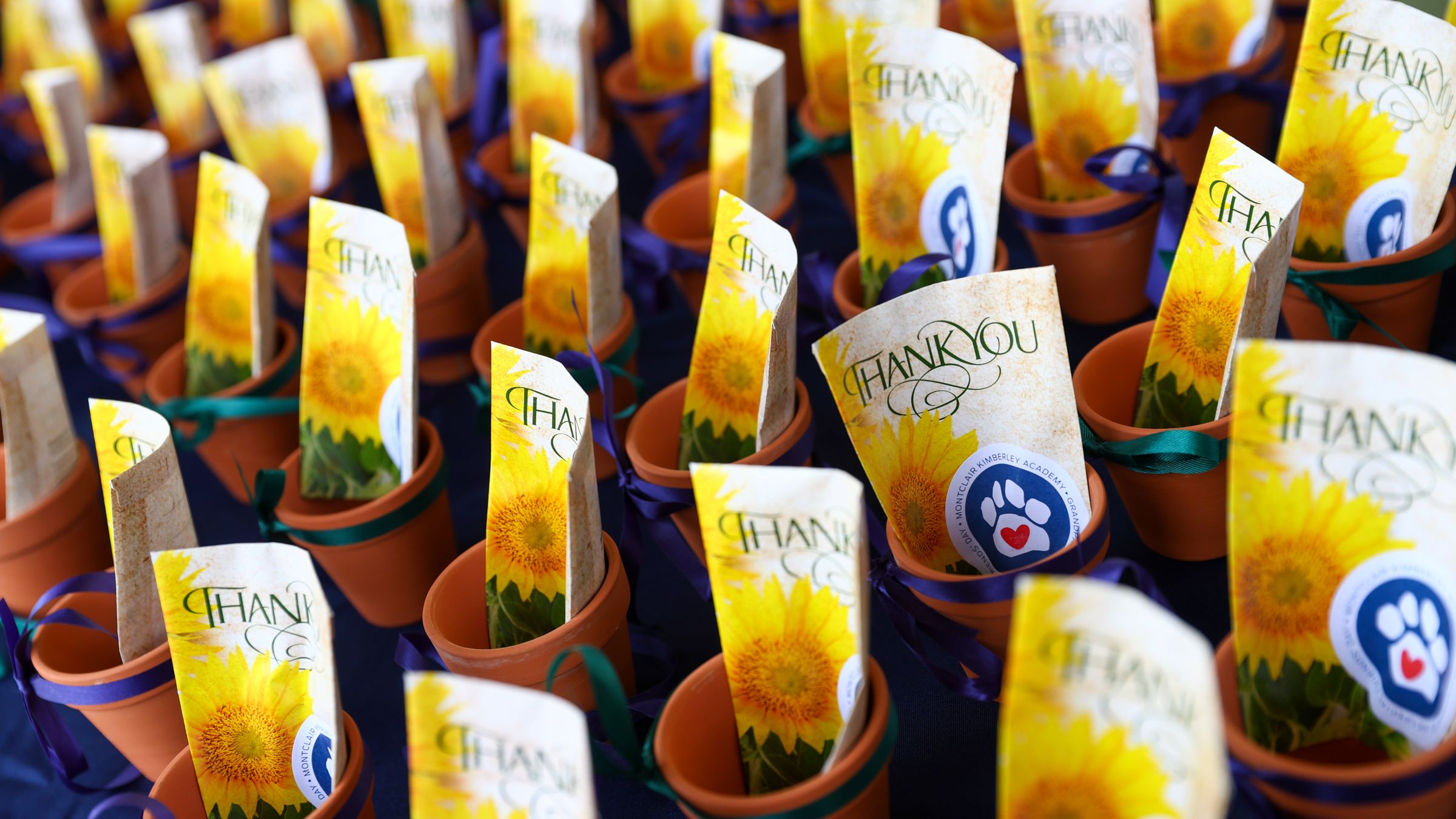 Grandparents' & Special Friends' Day