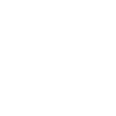 Solomon Schechter Day School of Bergen County logo