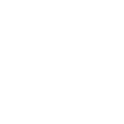 Solomon Schechter Day School of Bergen County logo